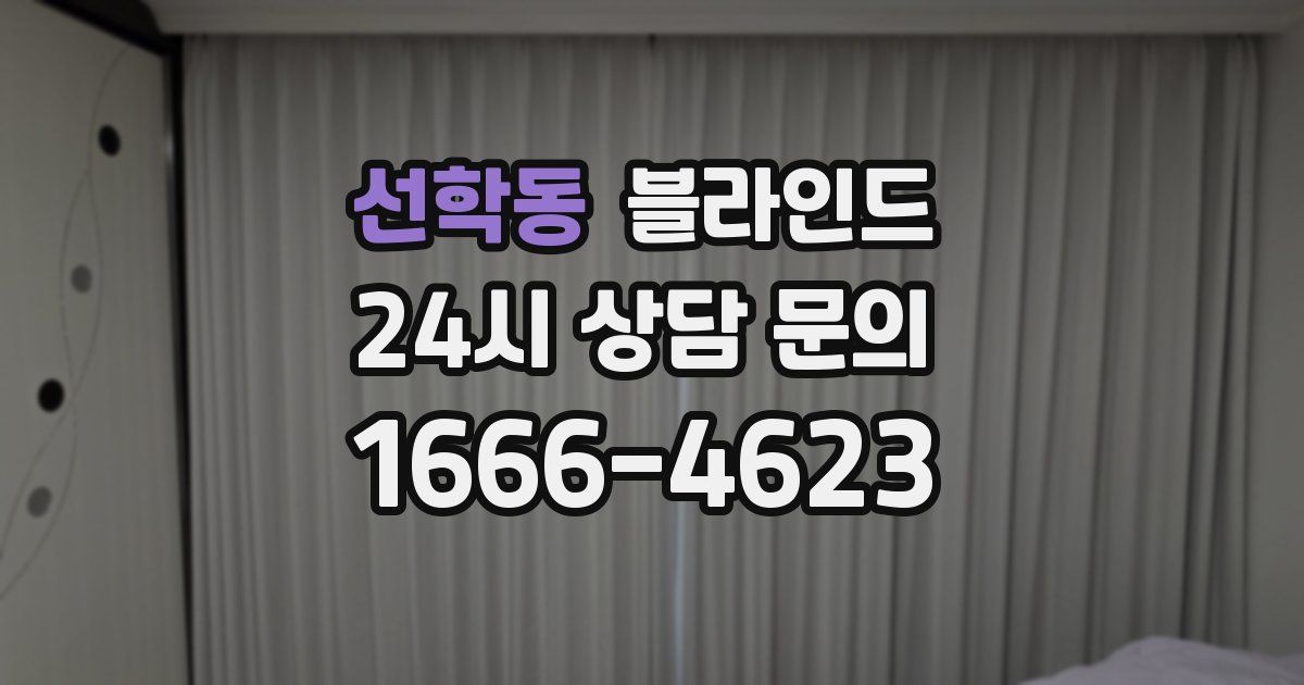 선학동 블라인드