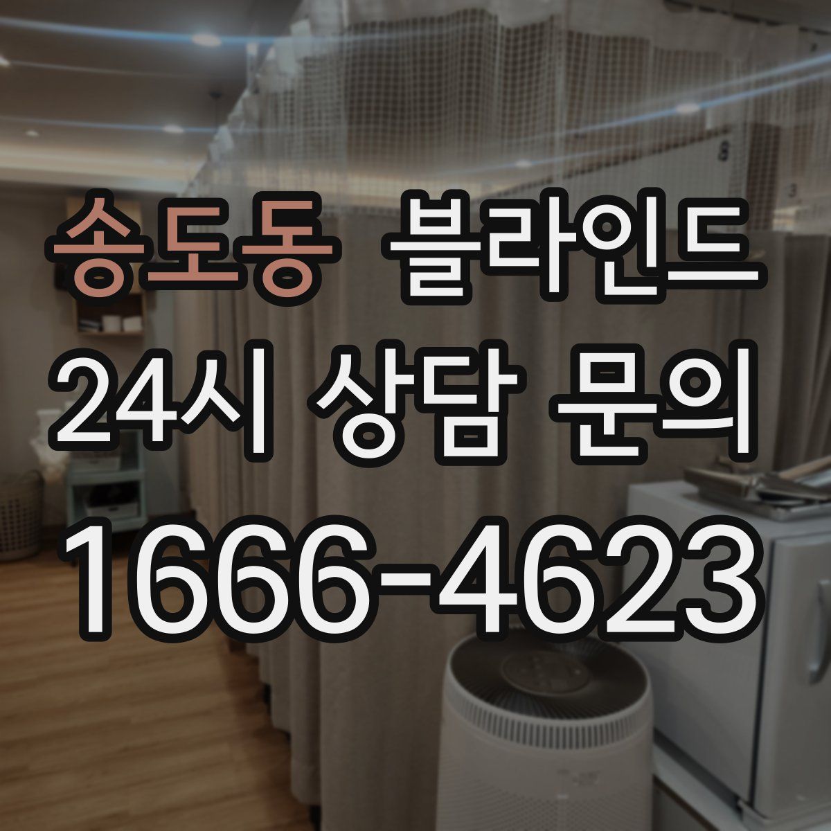 송도동 블라인드