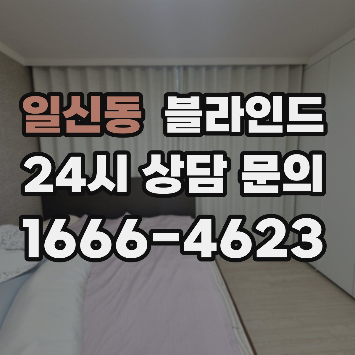 일신동 블라인드