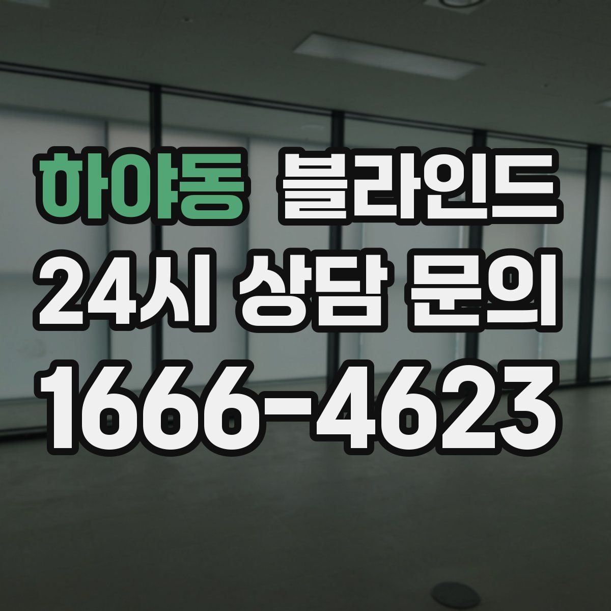 하야동 블라인드