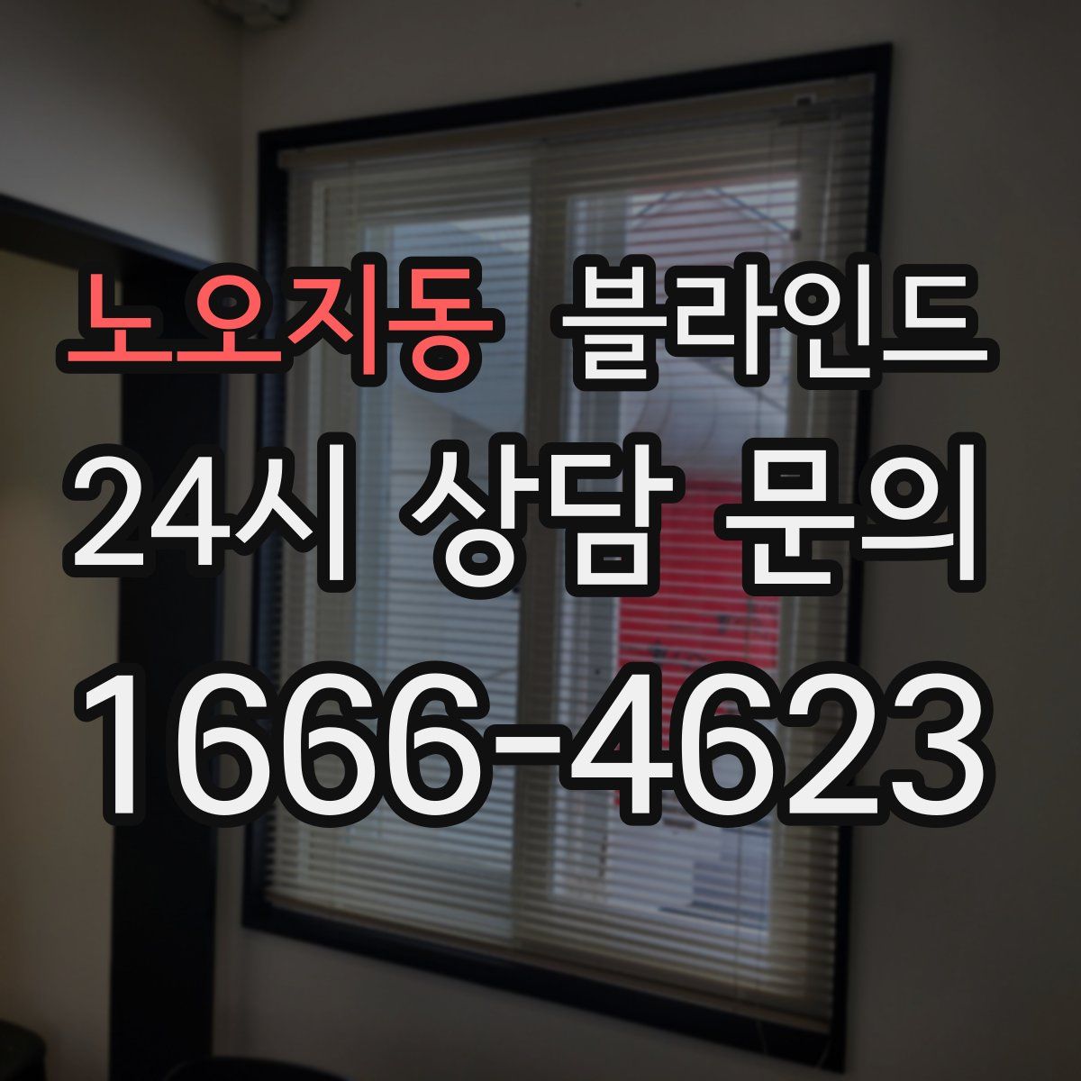 노오지동 블라인드