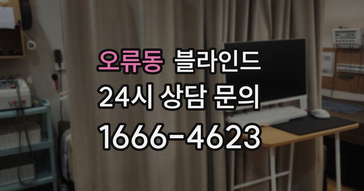 오류동 블라인드