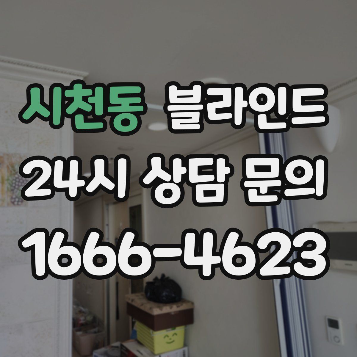 시천동 블라인드
