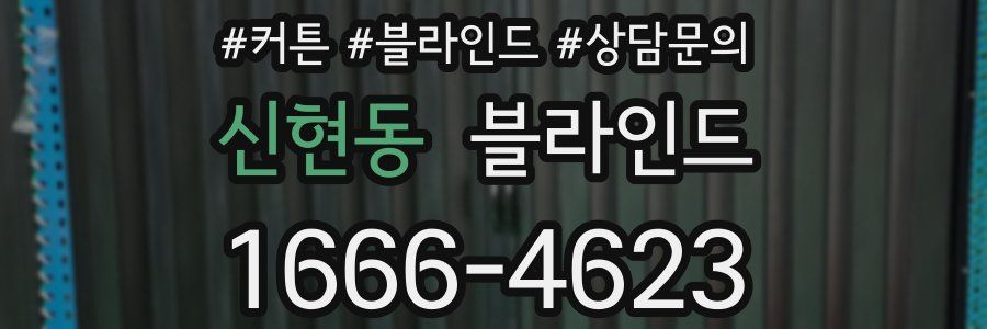 신현동 블라인드