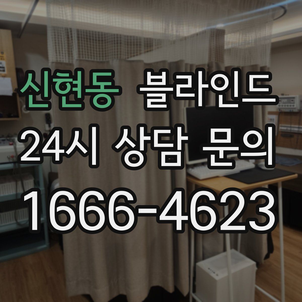 신현동 블라인드