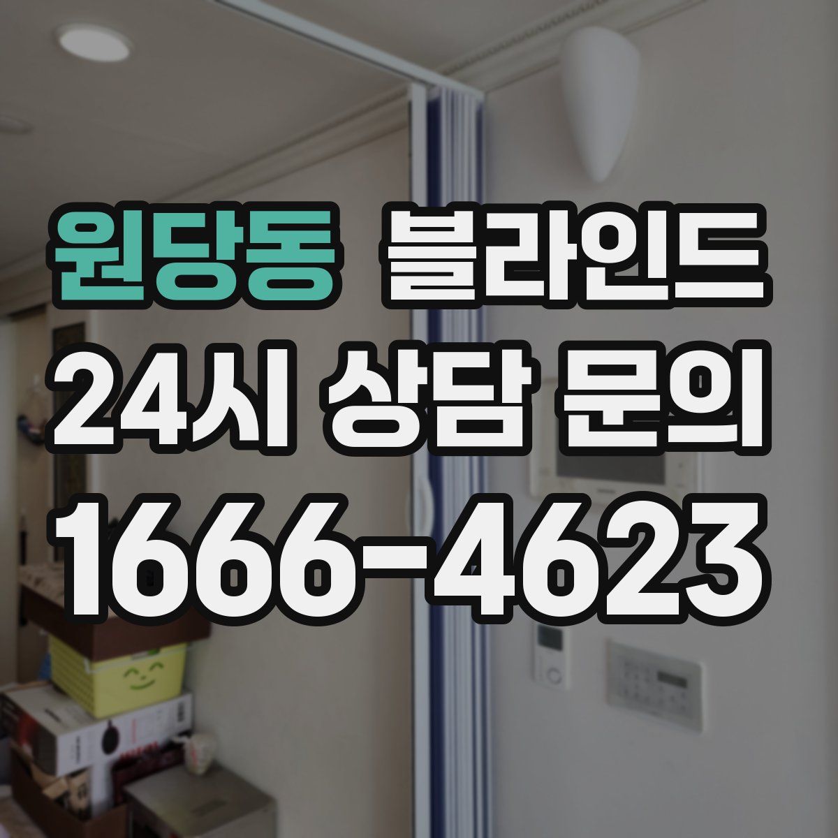원당동 블라인드