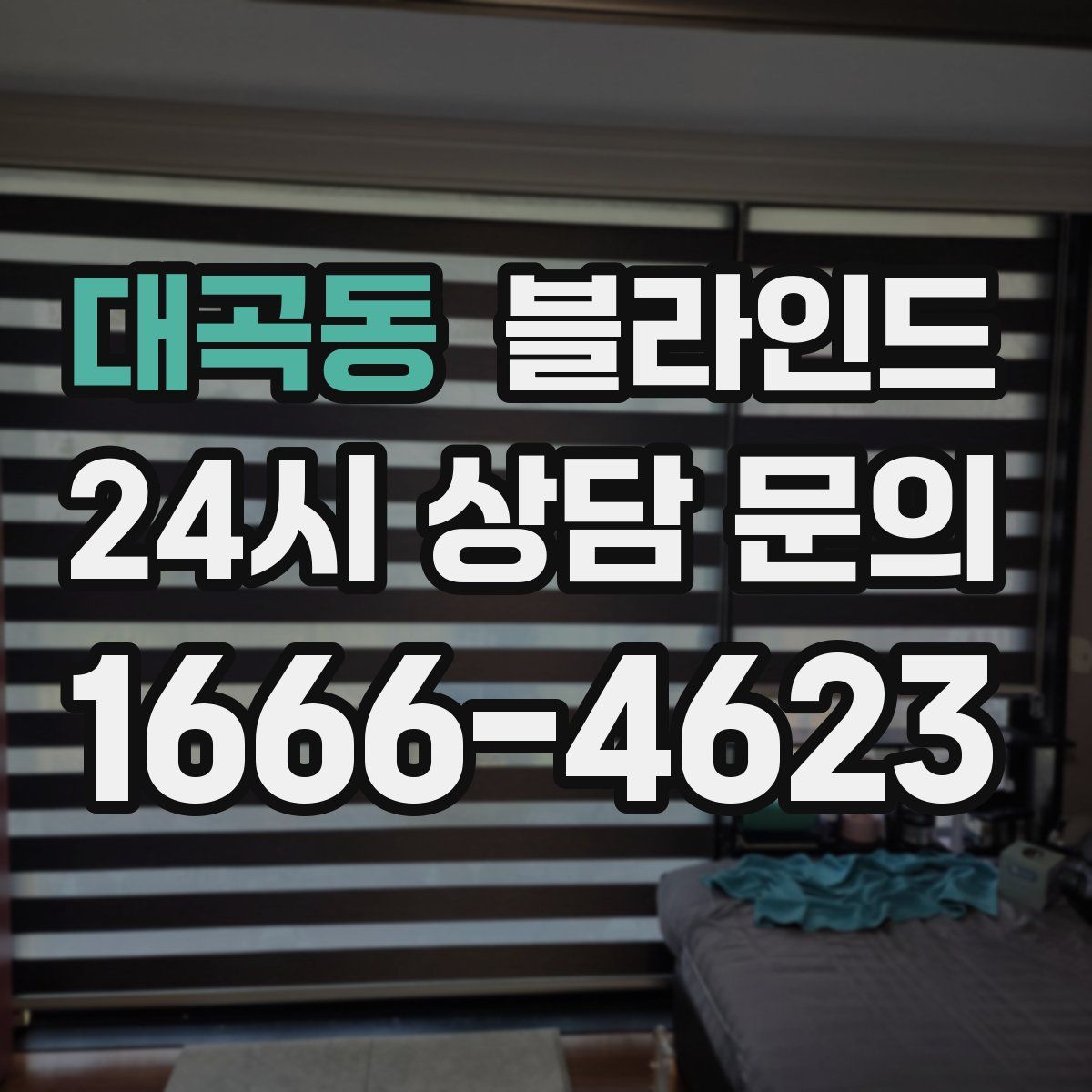대곡동 블라인드