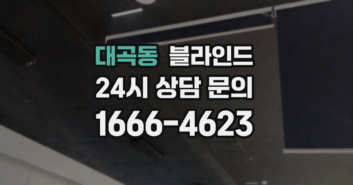 대곡동 블라인드