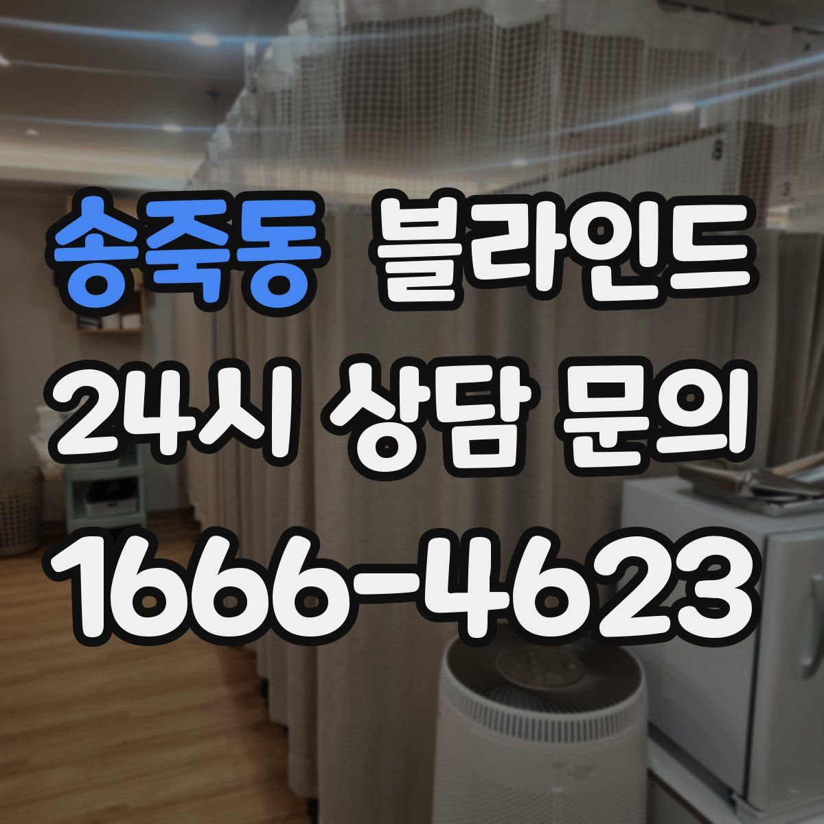 송죽동 블라인드