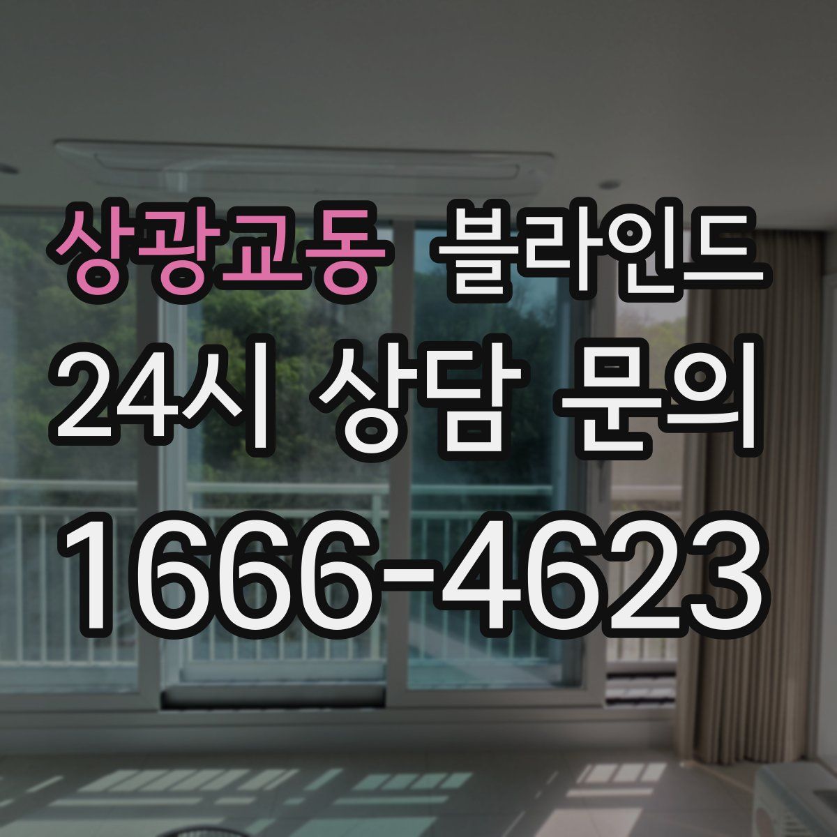 상광교동 블라인드