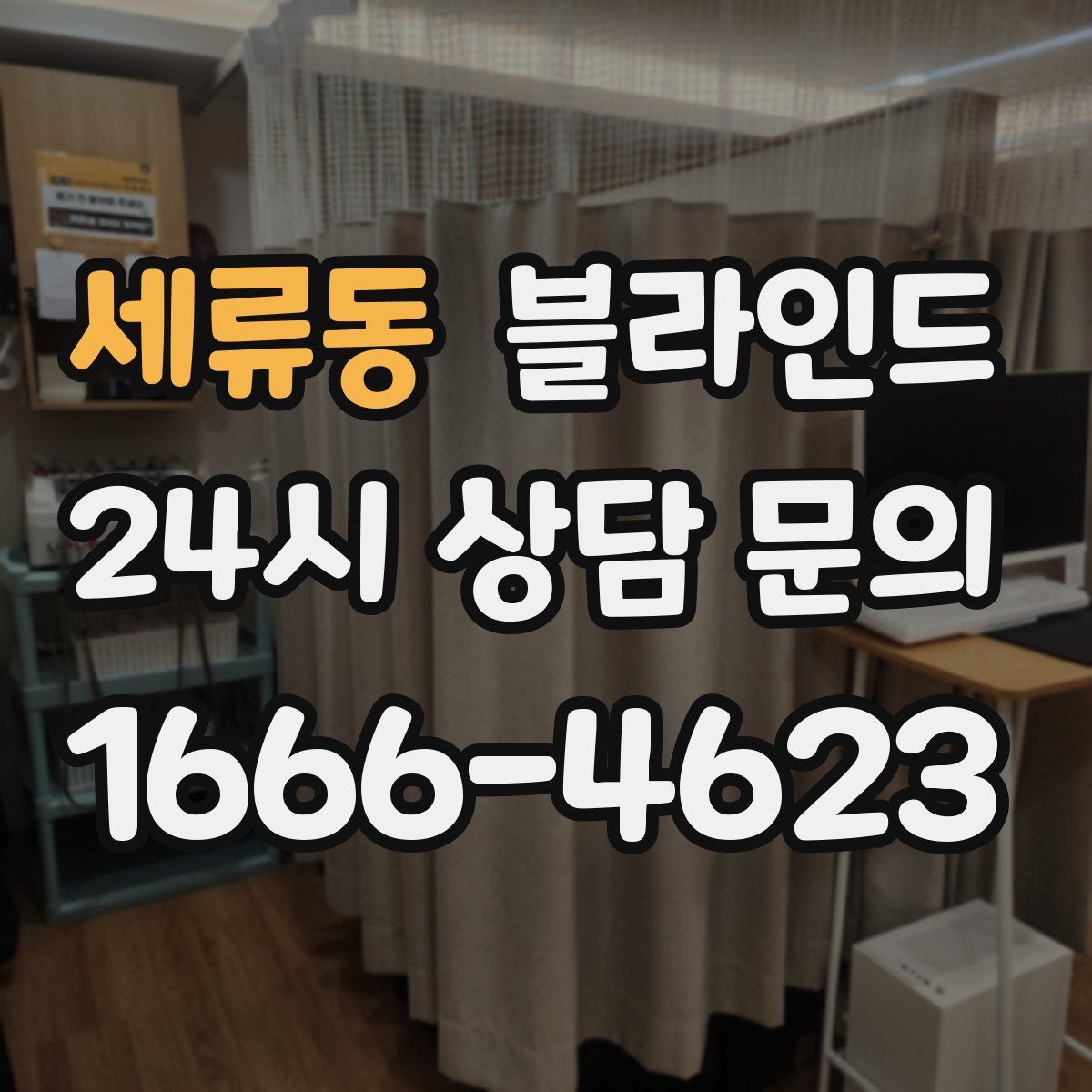 세류동 블라인드