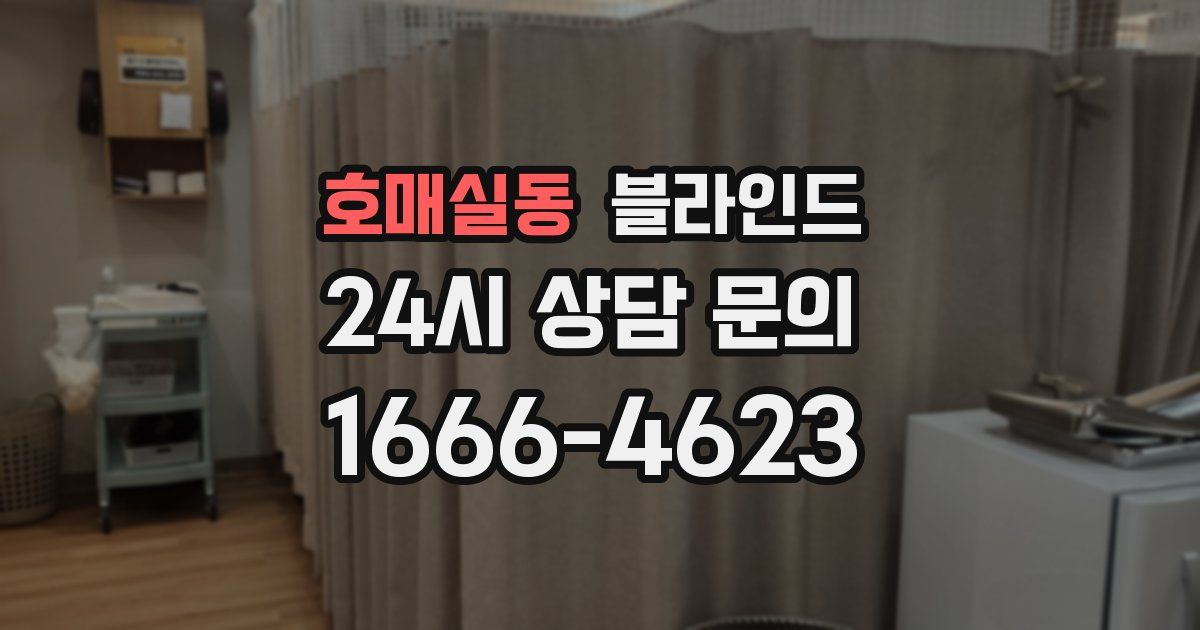 호매실동 블라인드