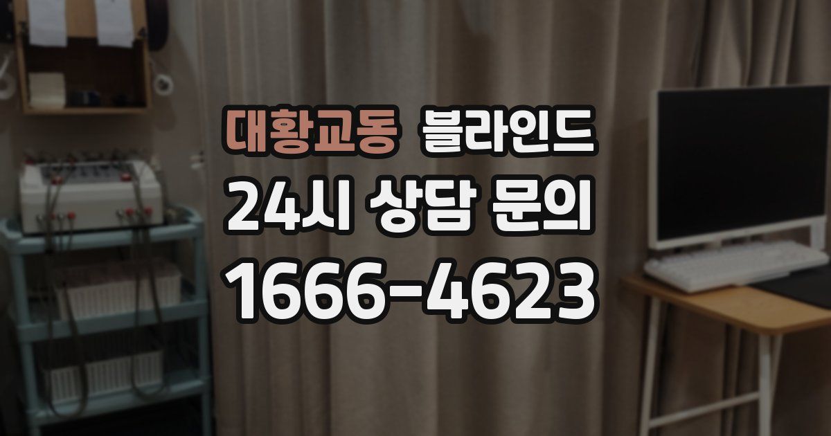 대황교동 블라인드