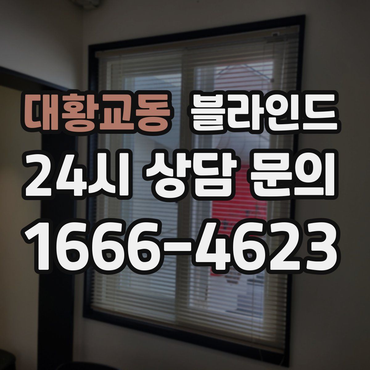 대황교동 블라인드