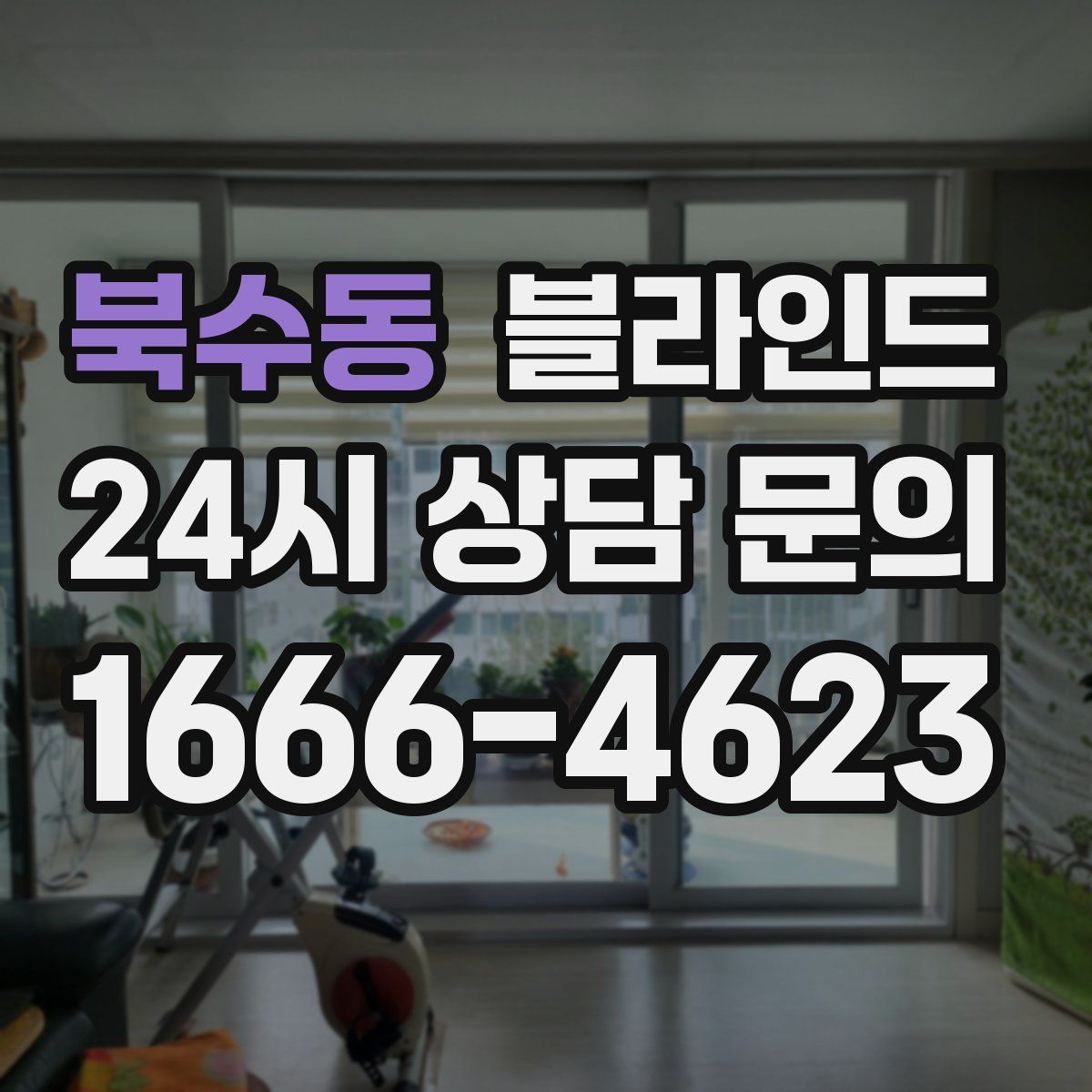 북수동 블라인드