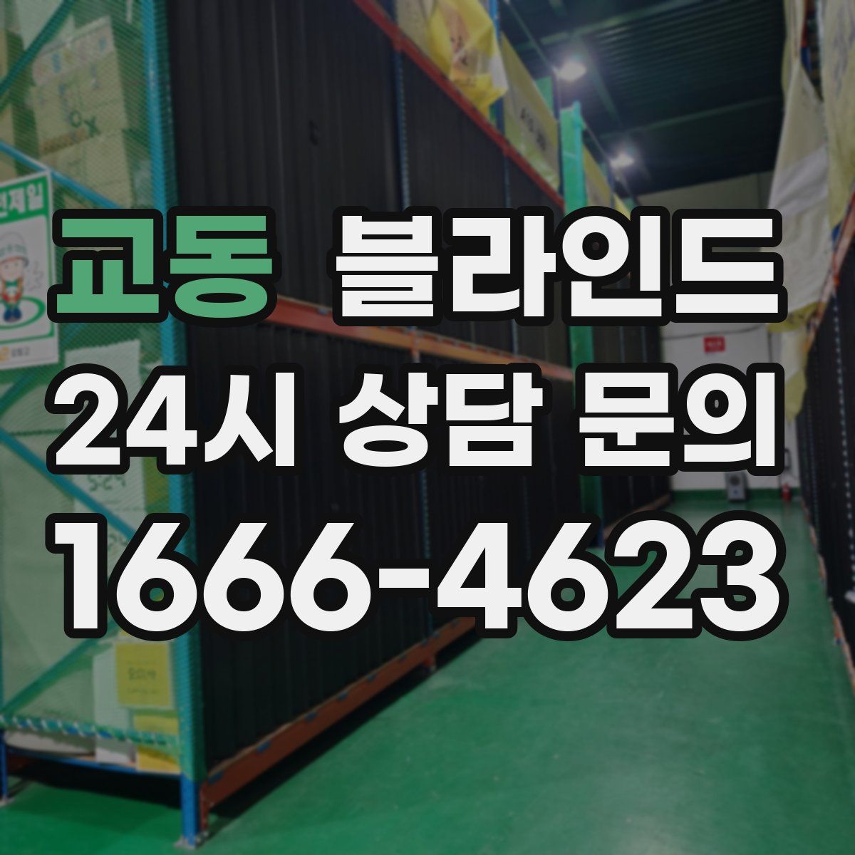 교동 블라인드