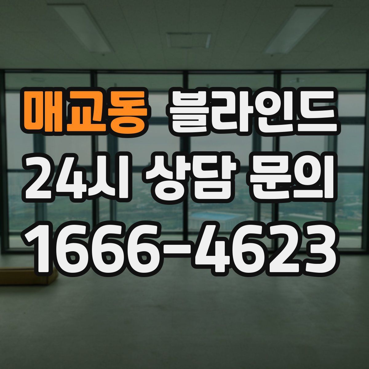 매교동 블라인드