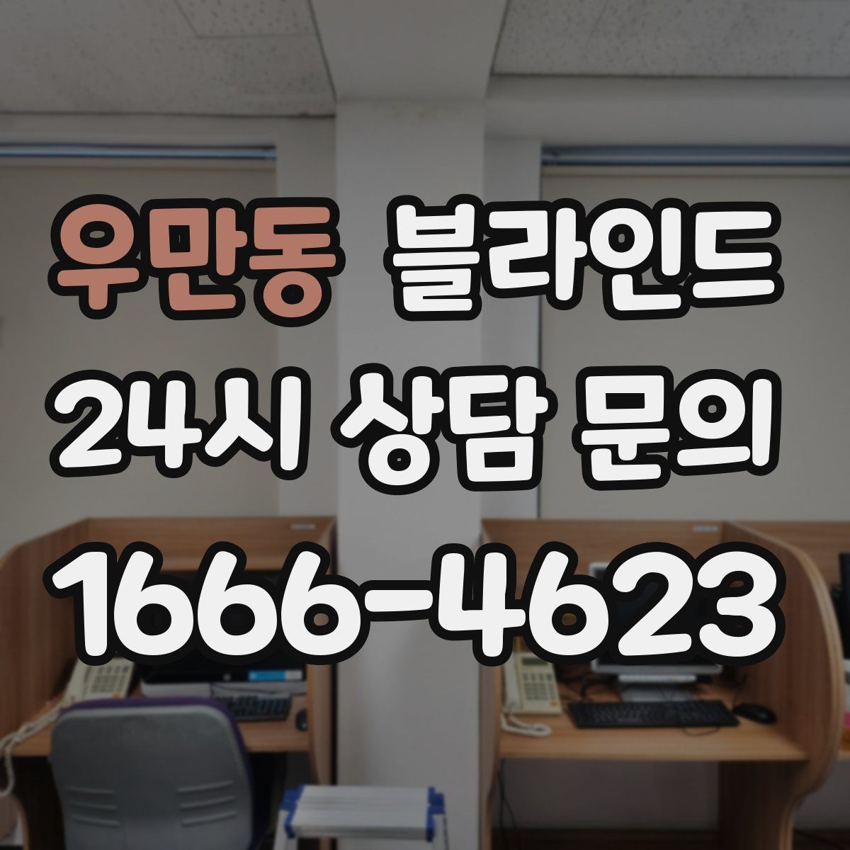 우만동 블라인드