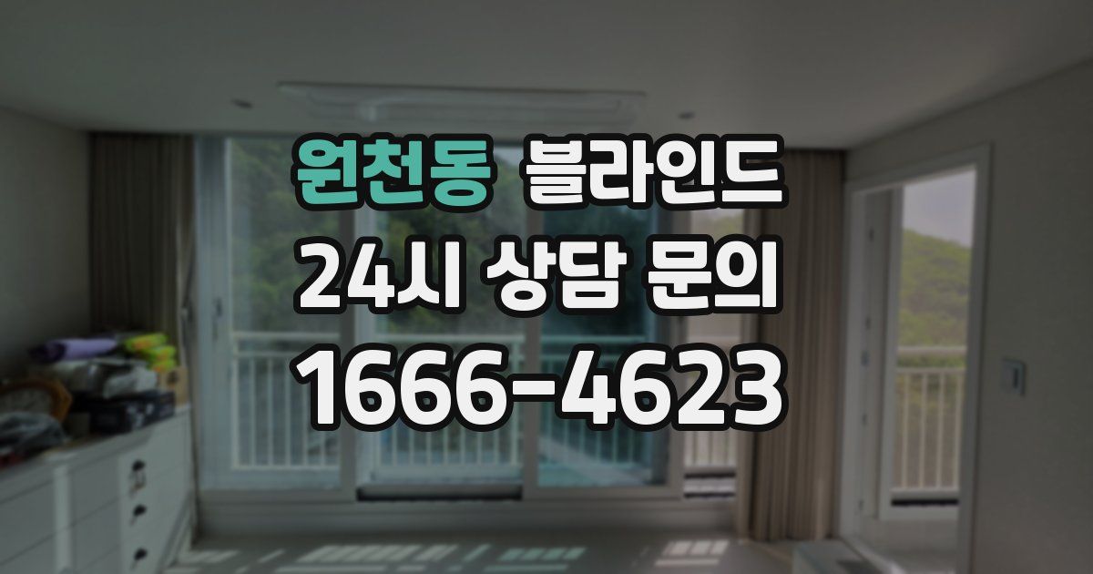 원천동 블라인드