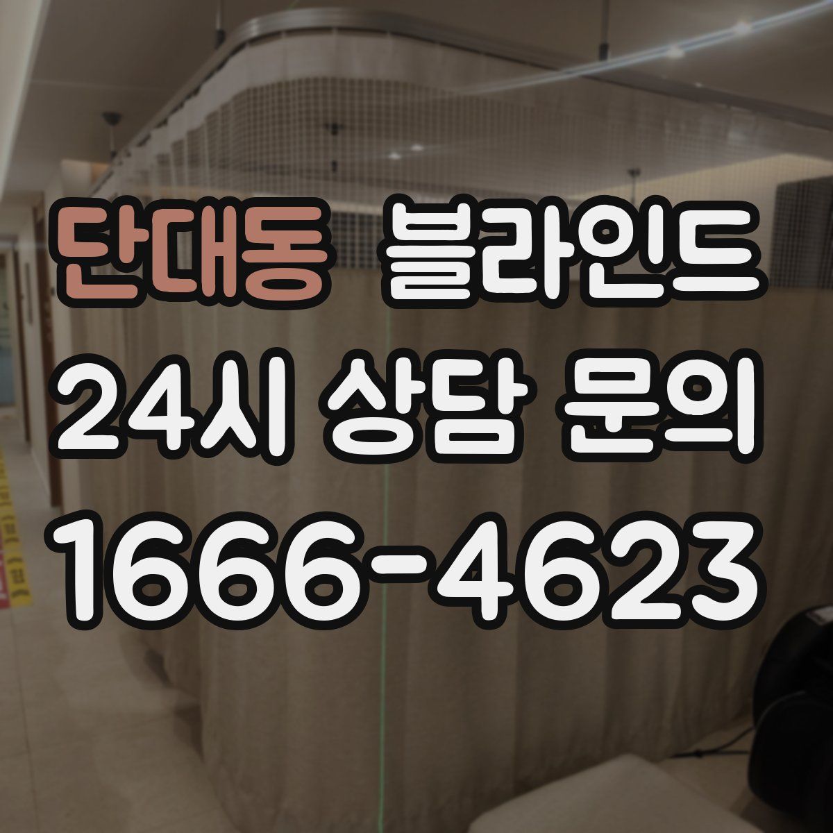 단대동 블라인드