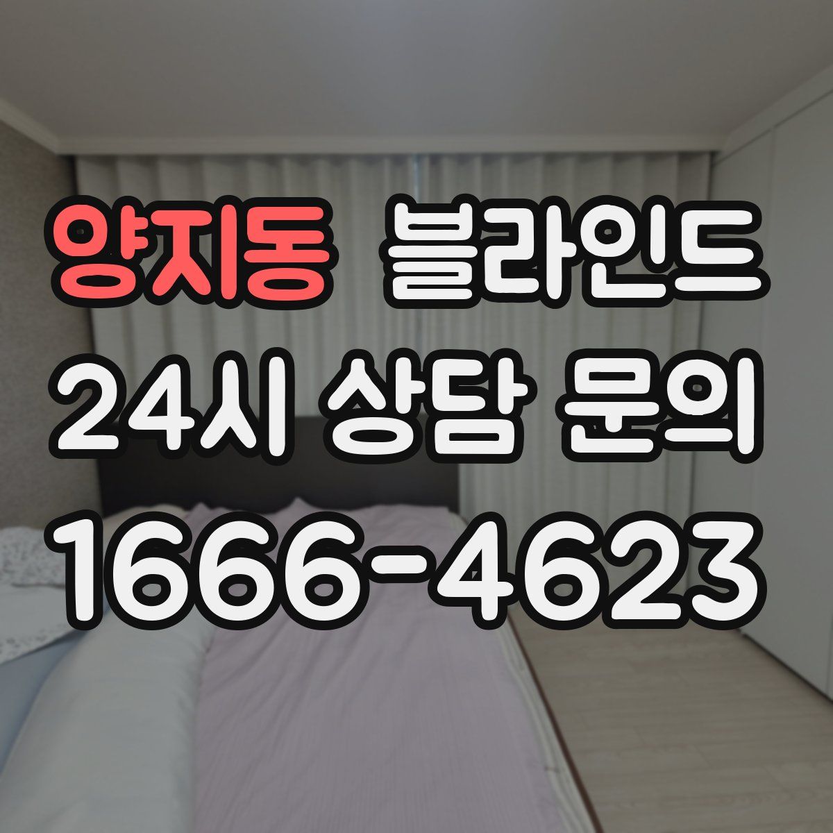 양지동 블라인드