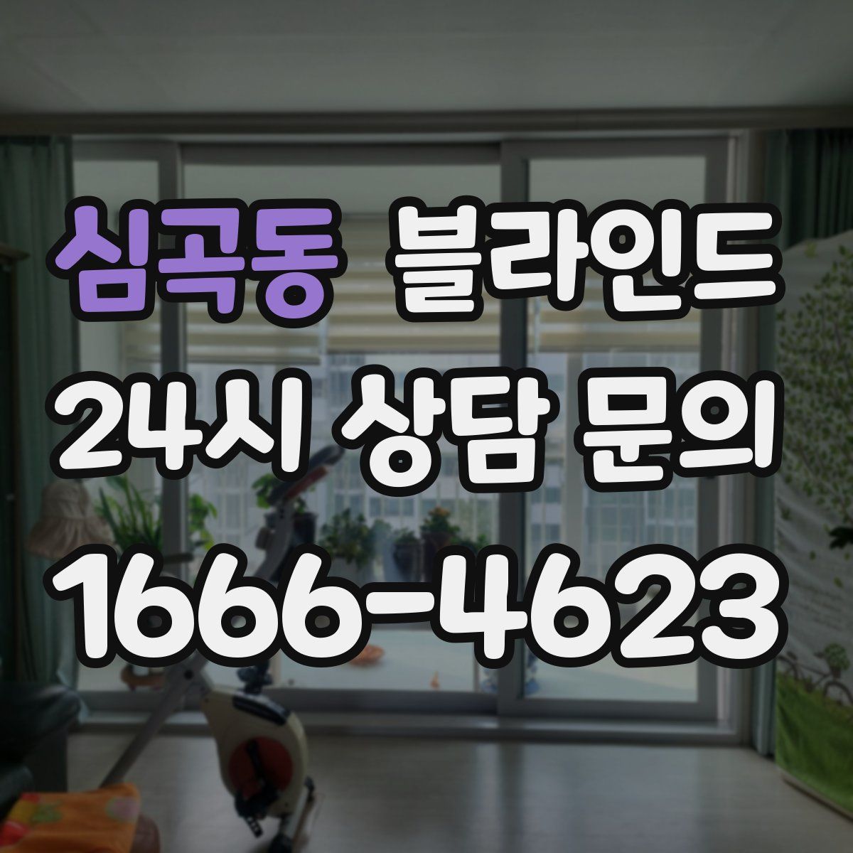 심곡동 블라인드