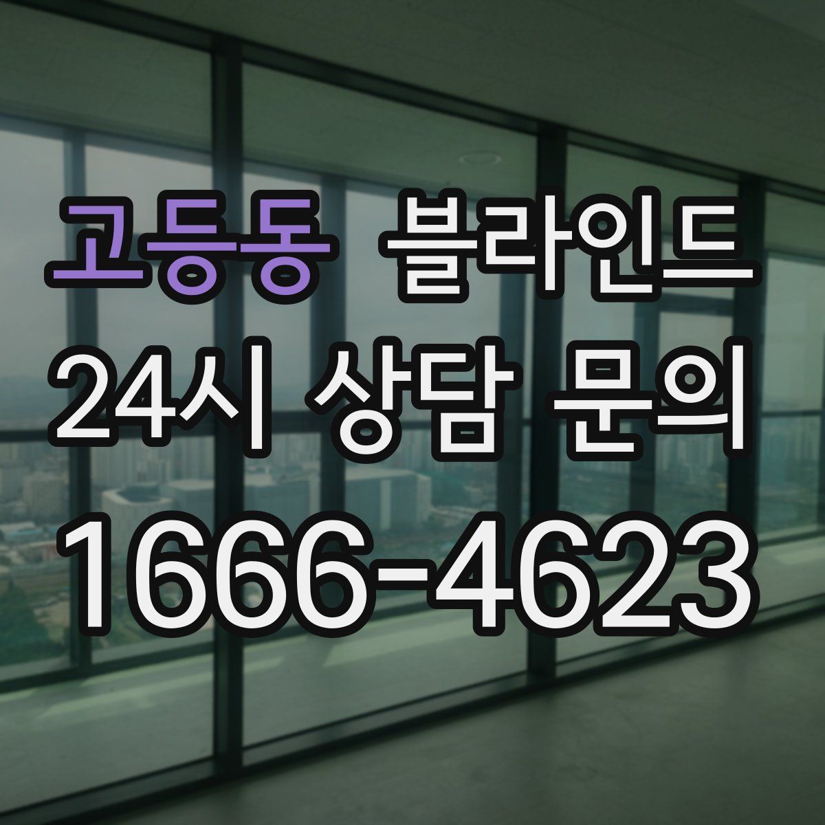 고등동 블라인드