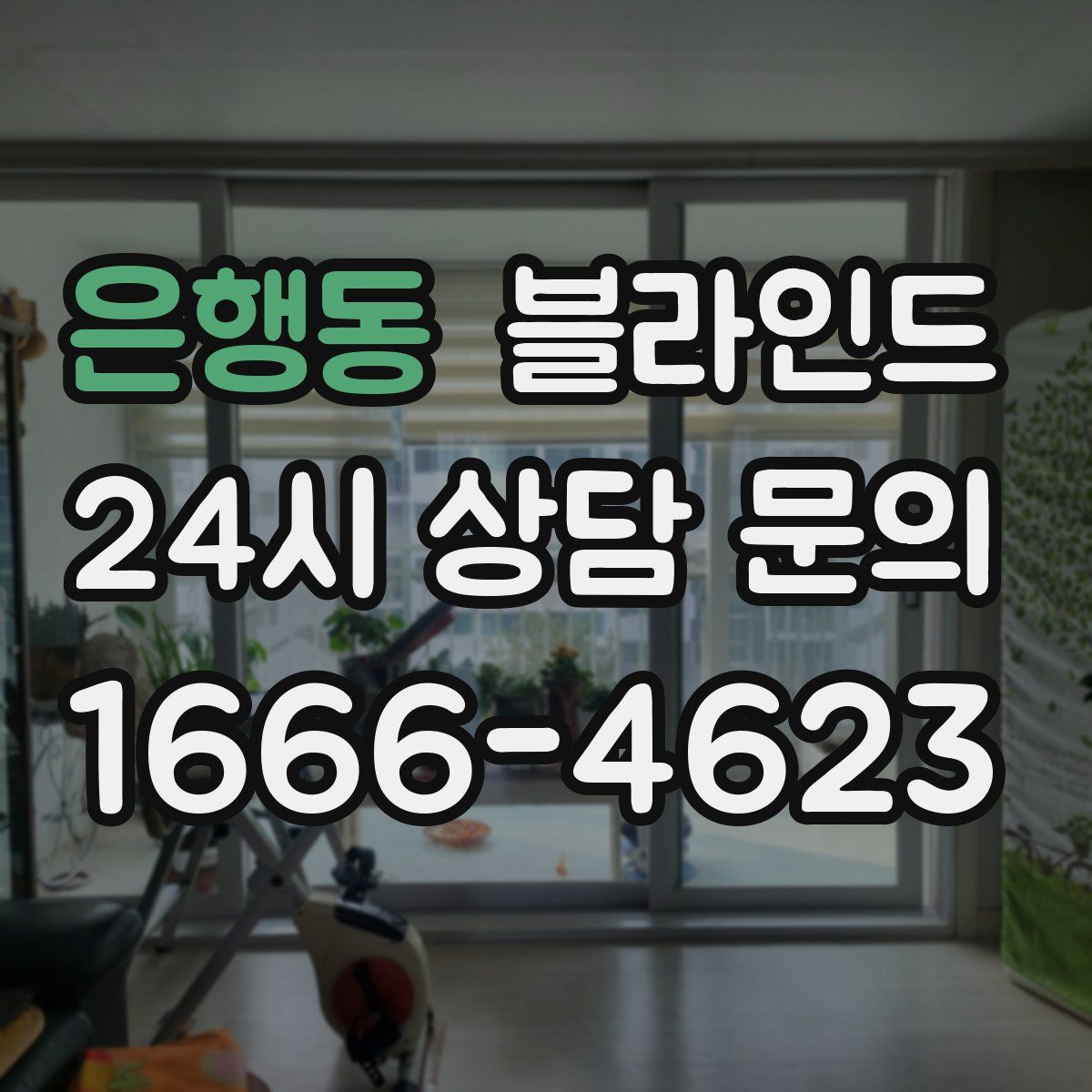 은행동 블라인드