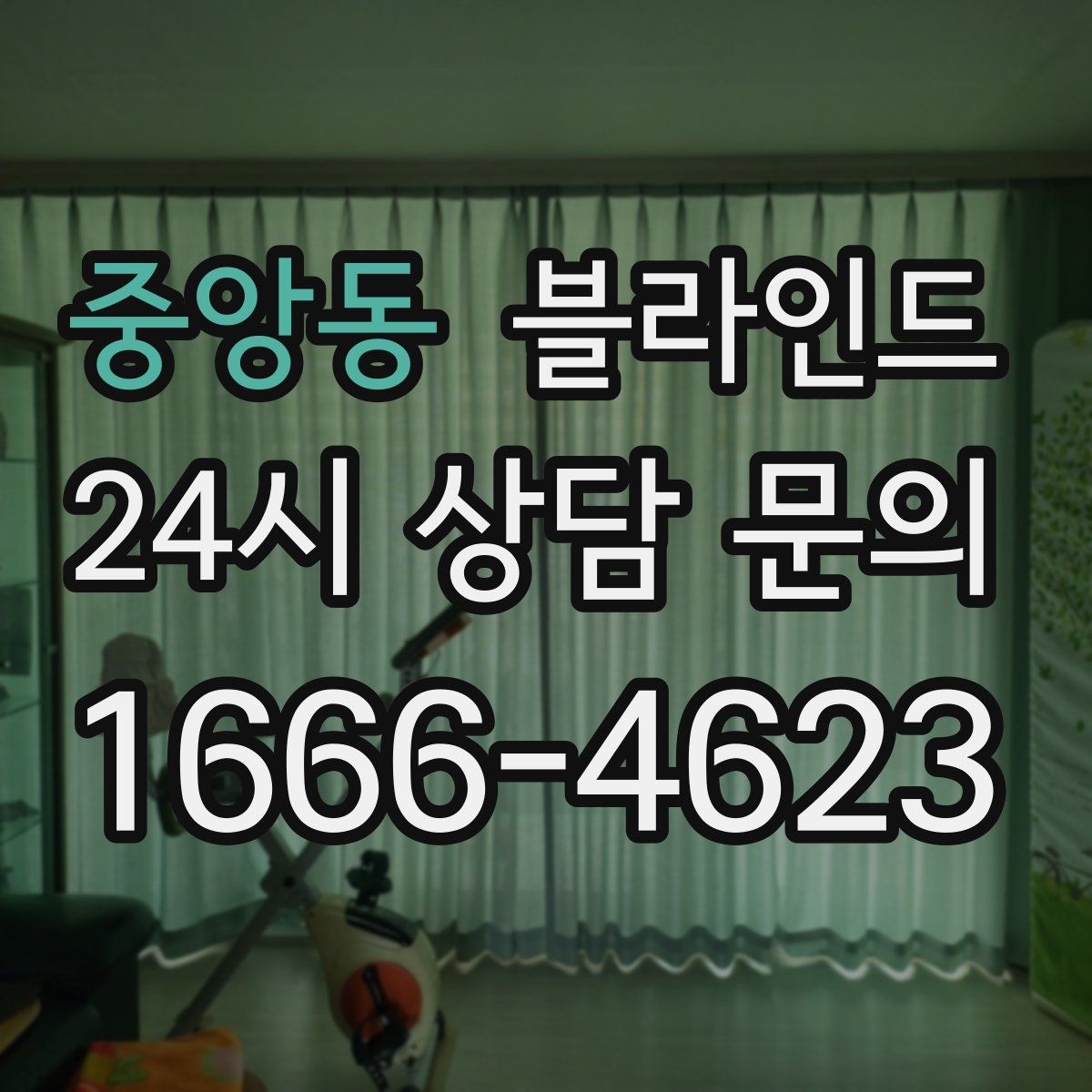중앙동 블라인드