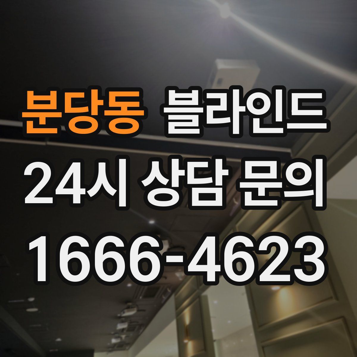 분당동 블라인드