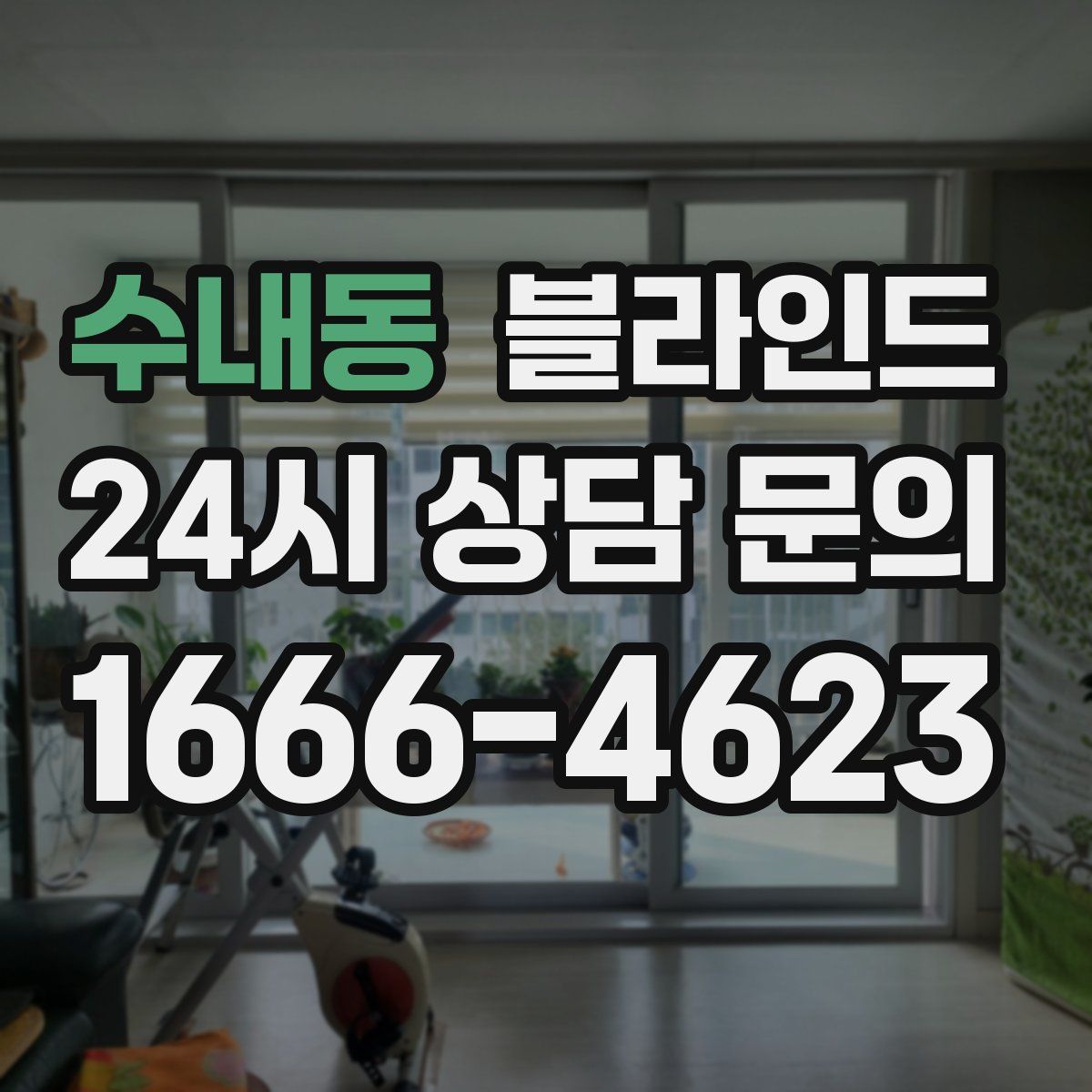 수내동 블라인드
