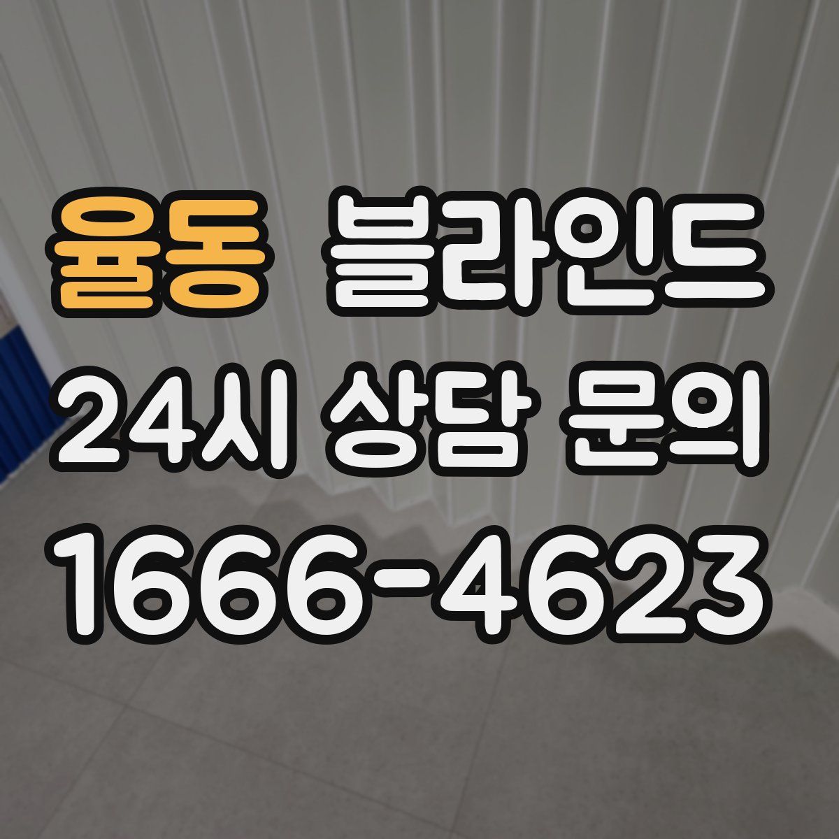 율동 블라인드