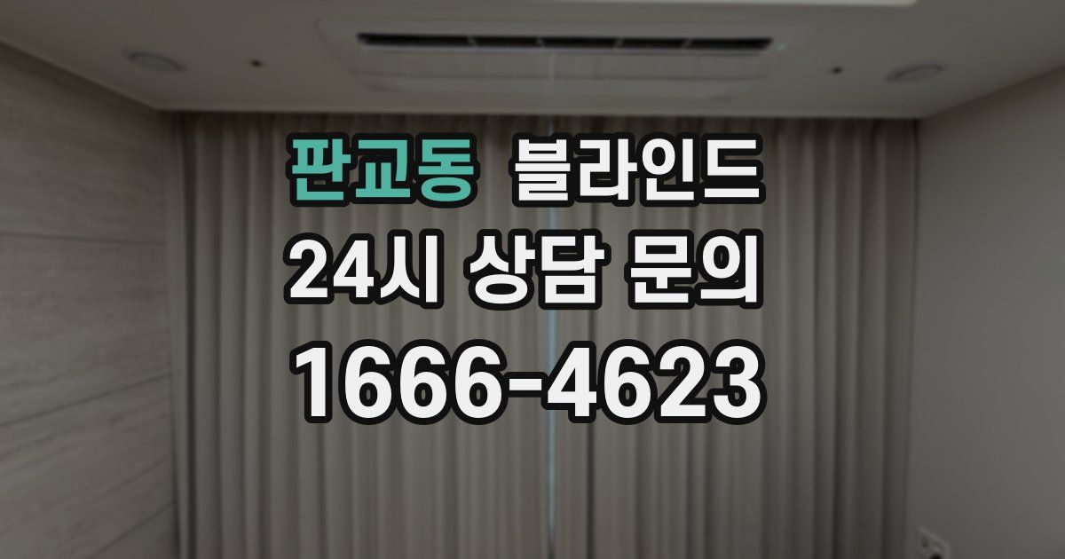 판교동 블라인드