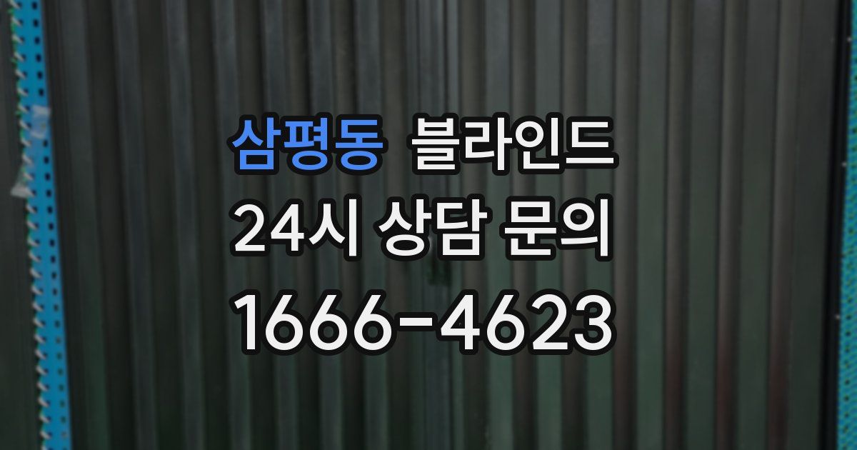 삼평동 블라인드