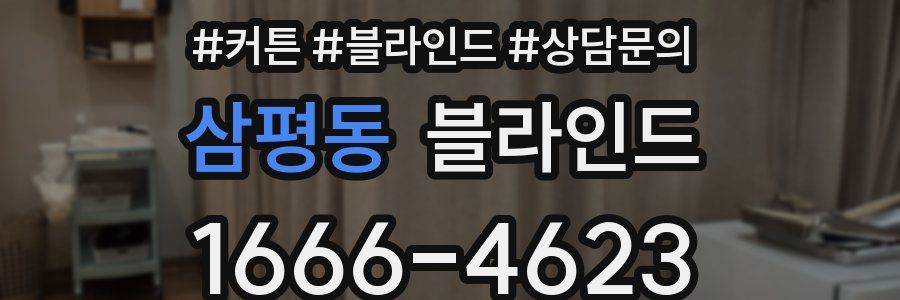 삼평동 블라인드