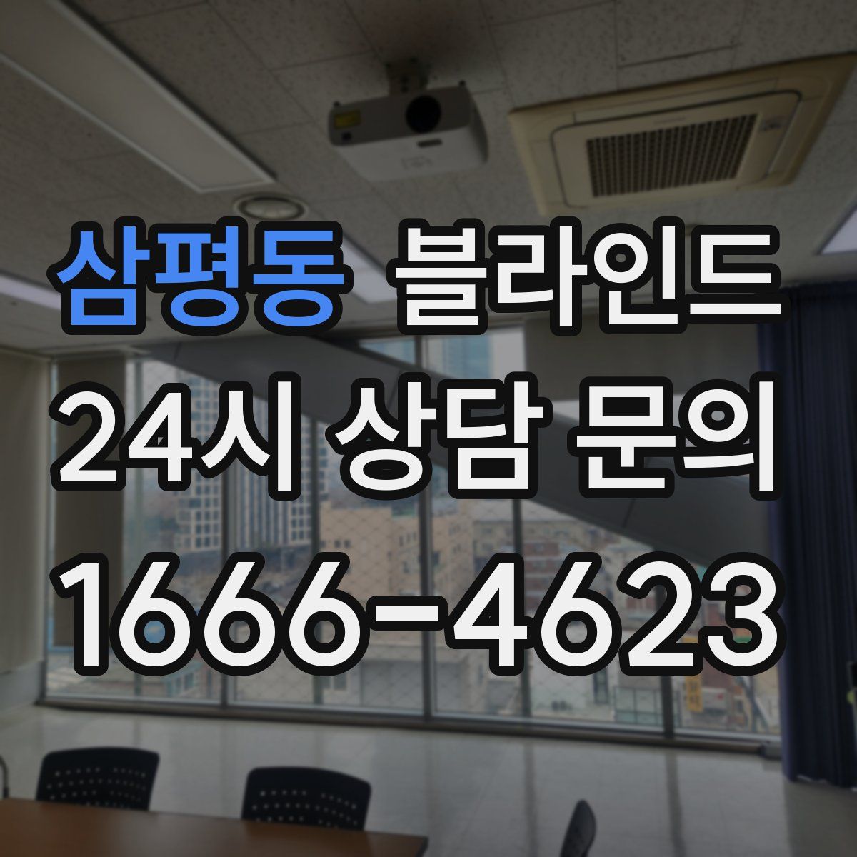삼평동 블라인드
