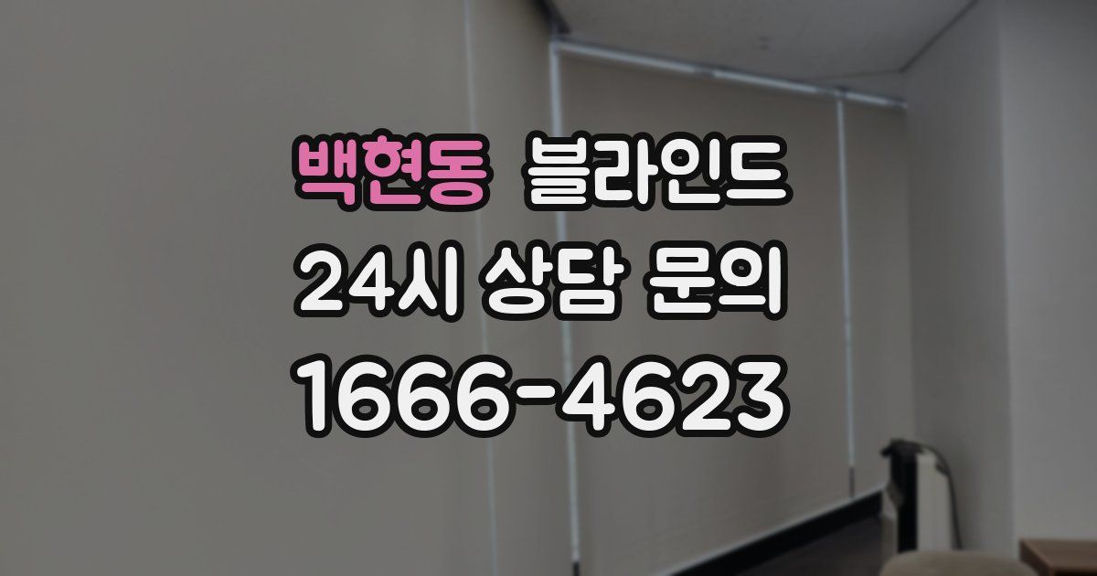 백현동 블라인드
