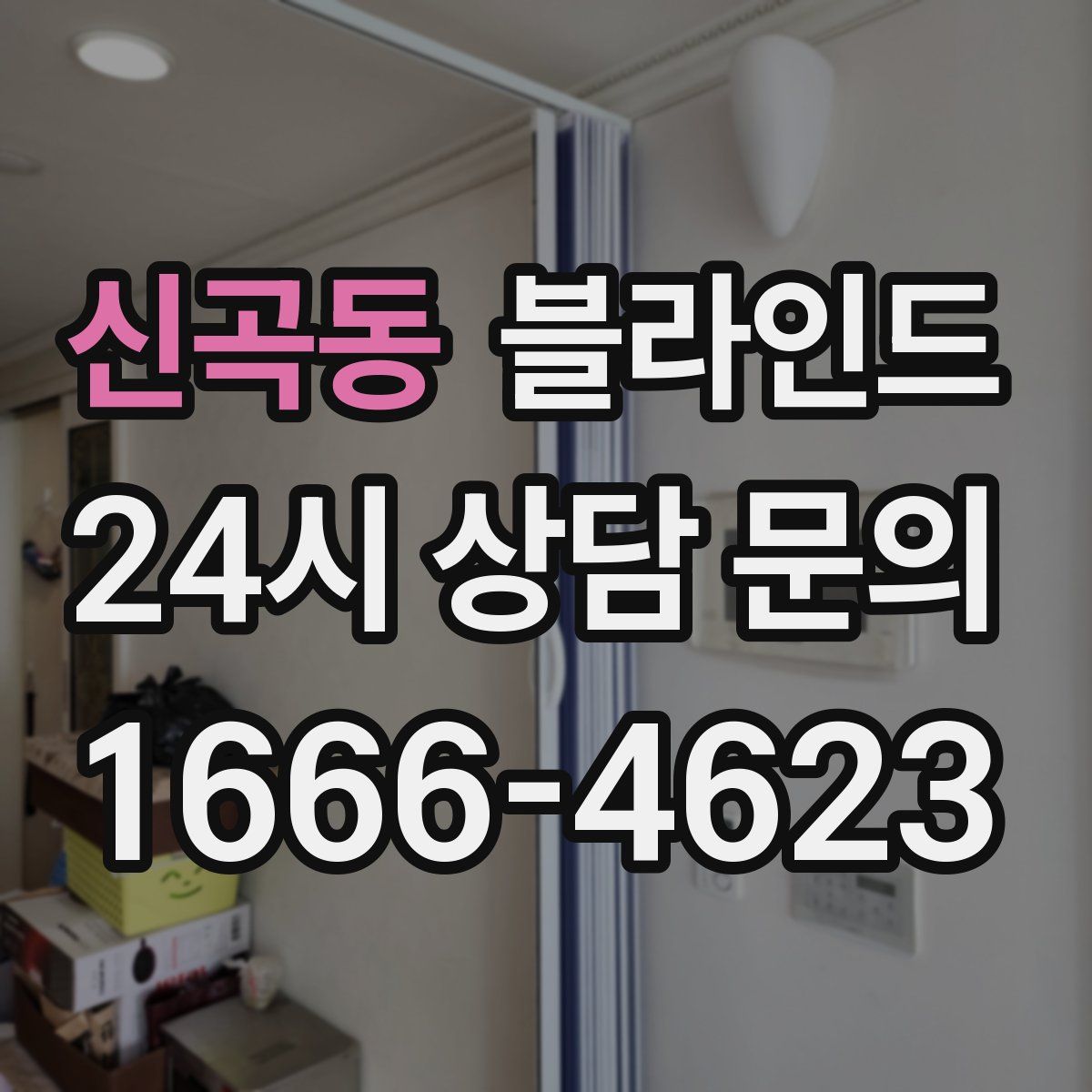 신곡동 블라인드