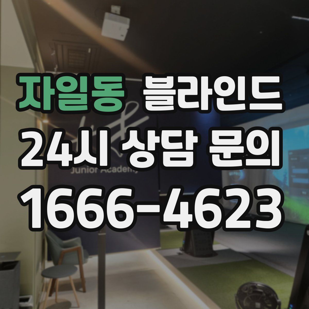 자일동 블라인드