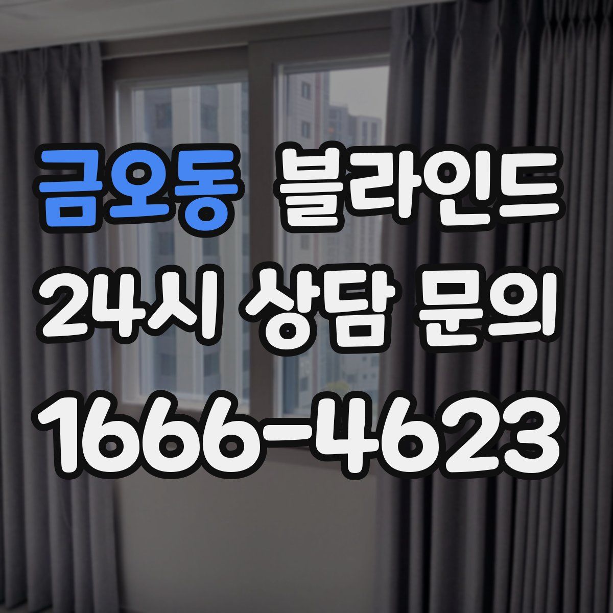 금오동 블라인드
