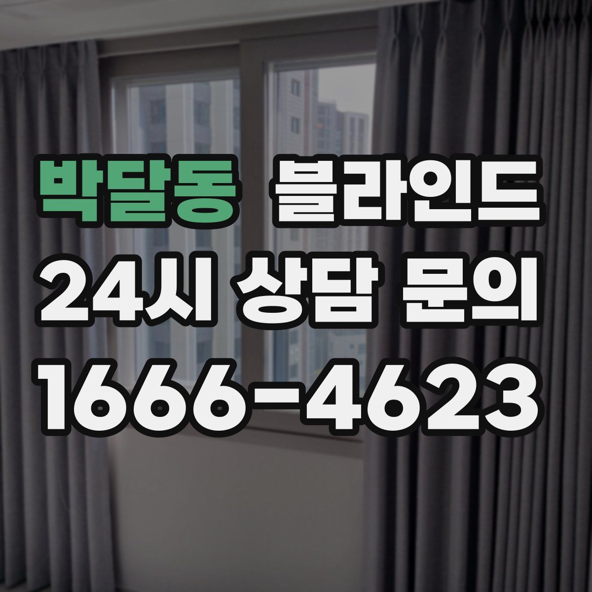 박달동 블라인드