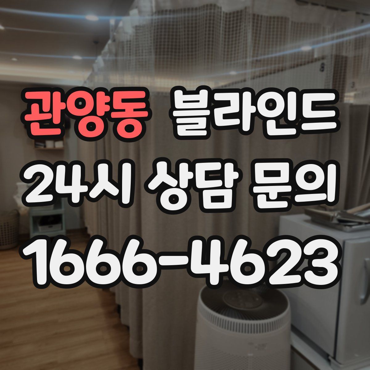 관양동 블라인드