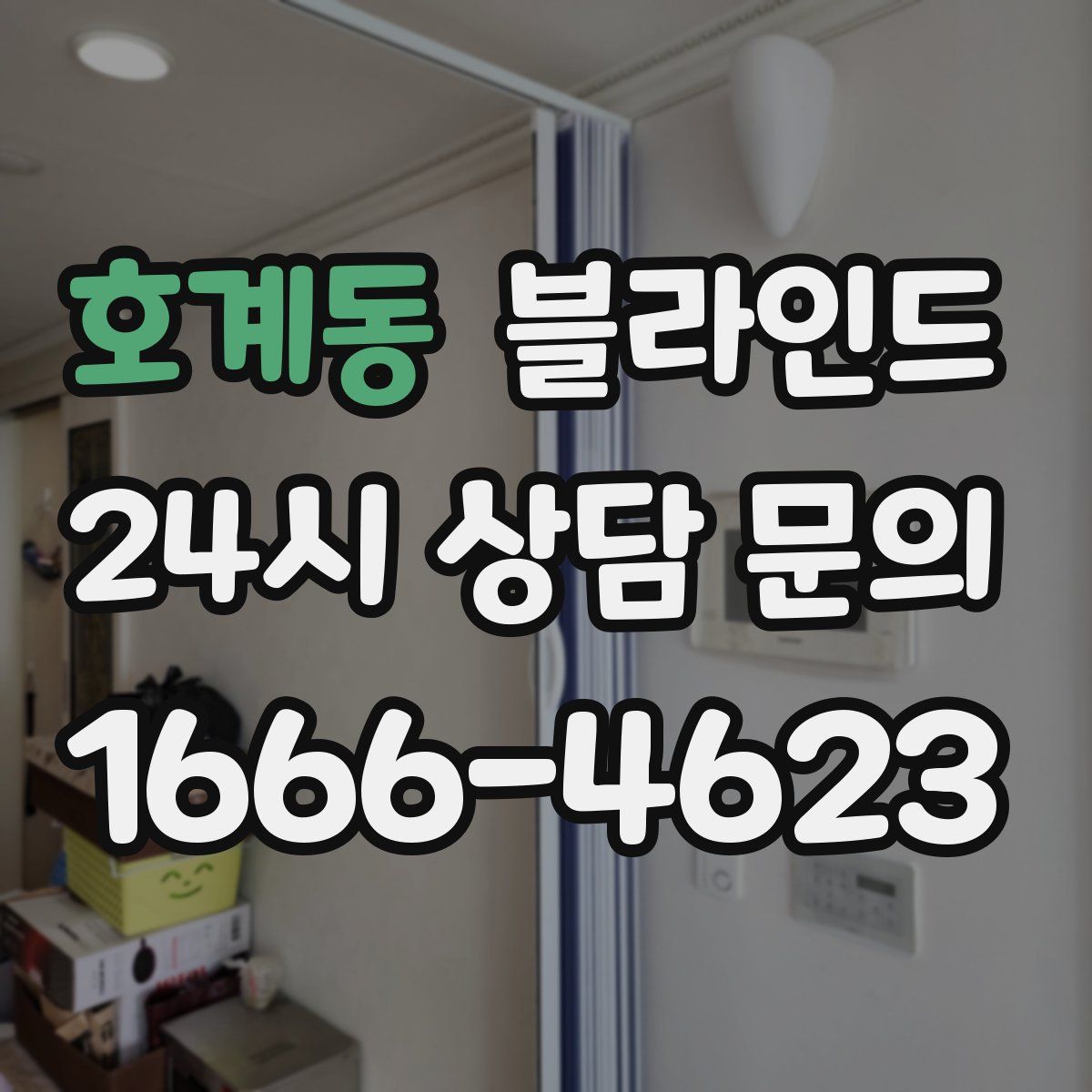 호계동 블라인드