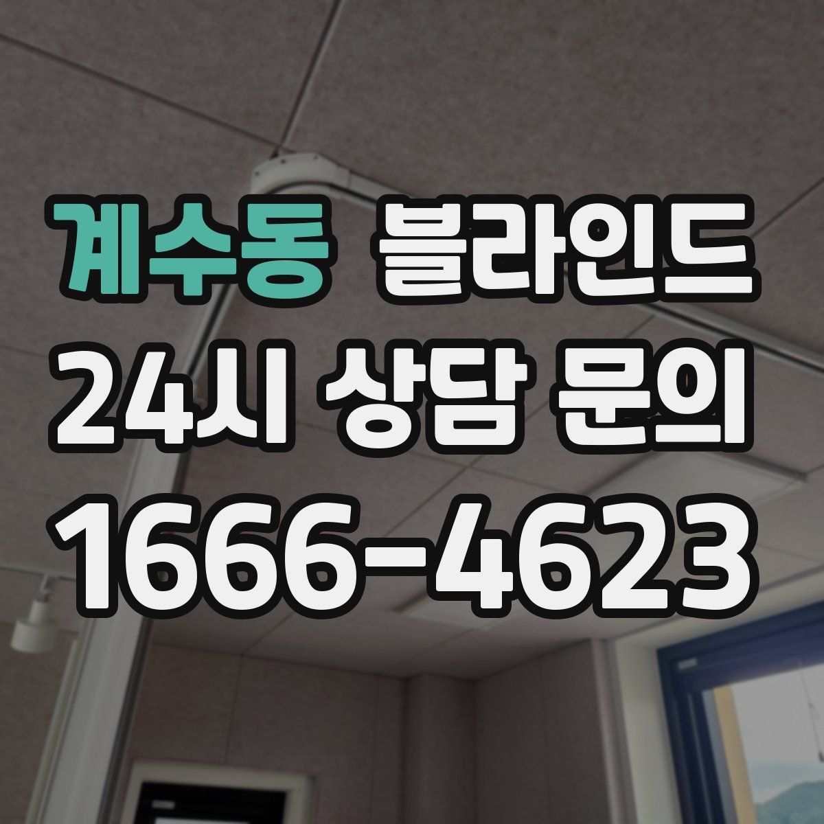 계수동 블라인드