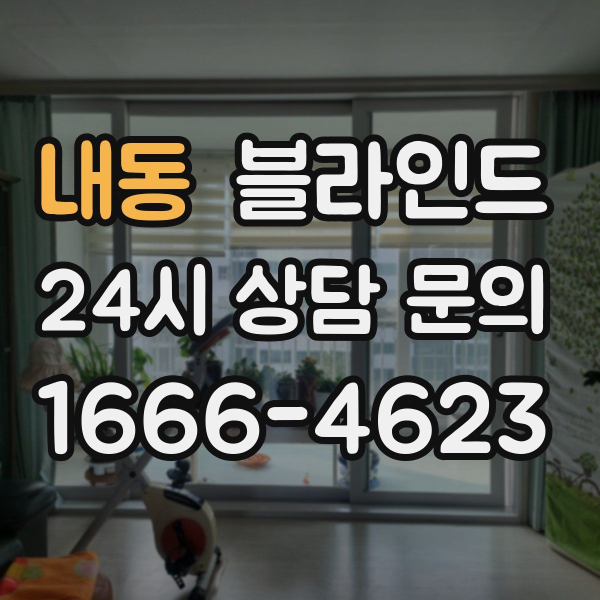 내동 블라인드
