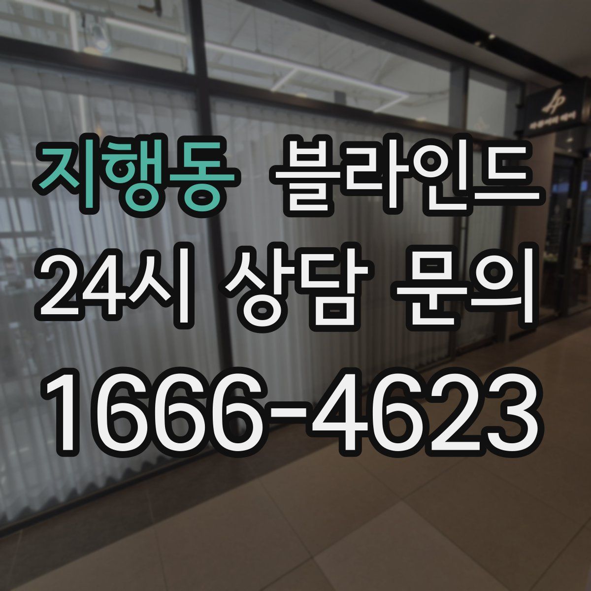 지행동 블라인드