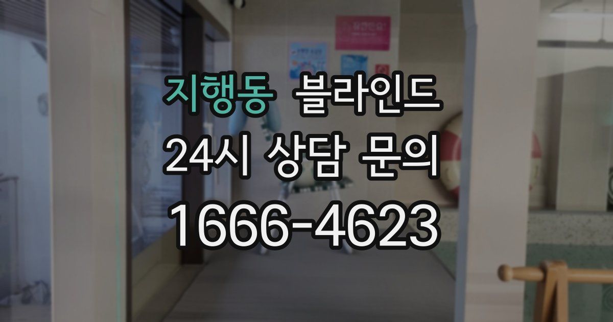 지행동 블라인드