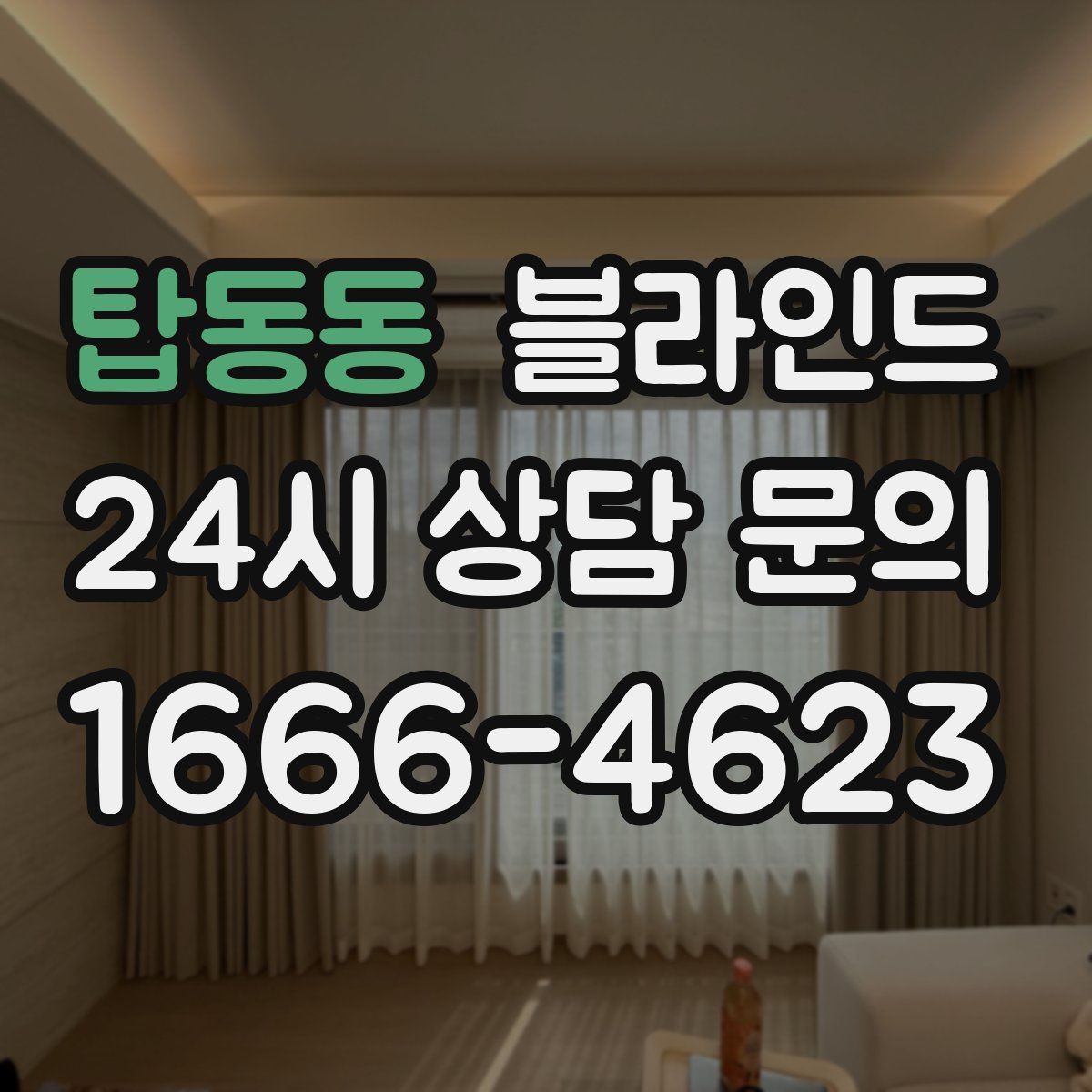 탑동동 블라인드