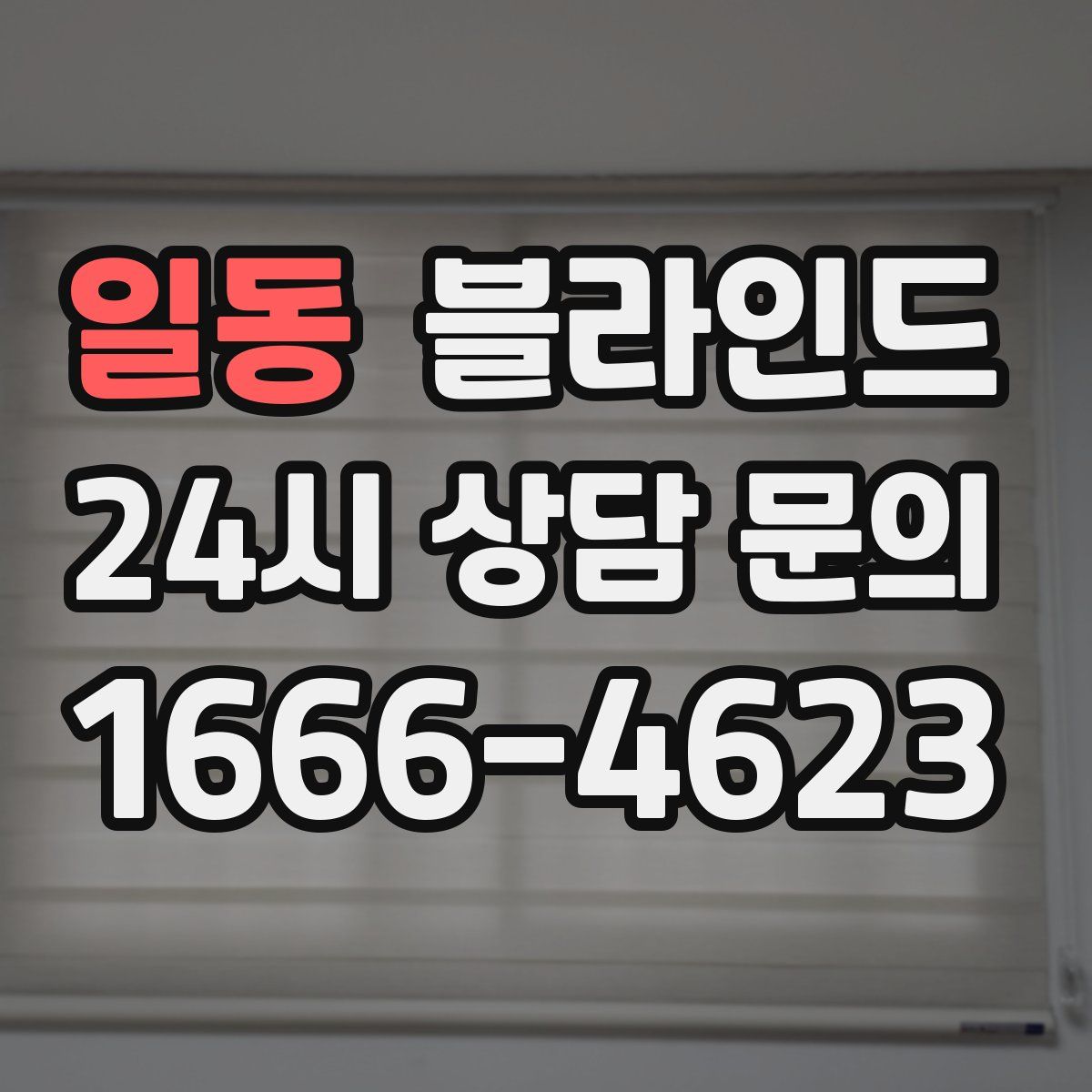 일동 블라인드