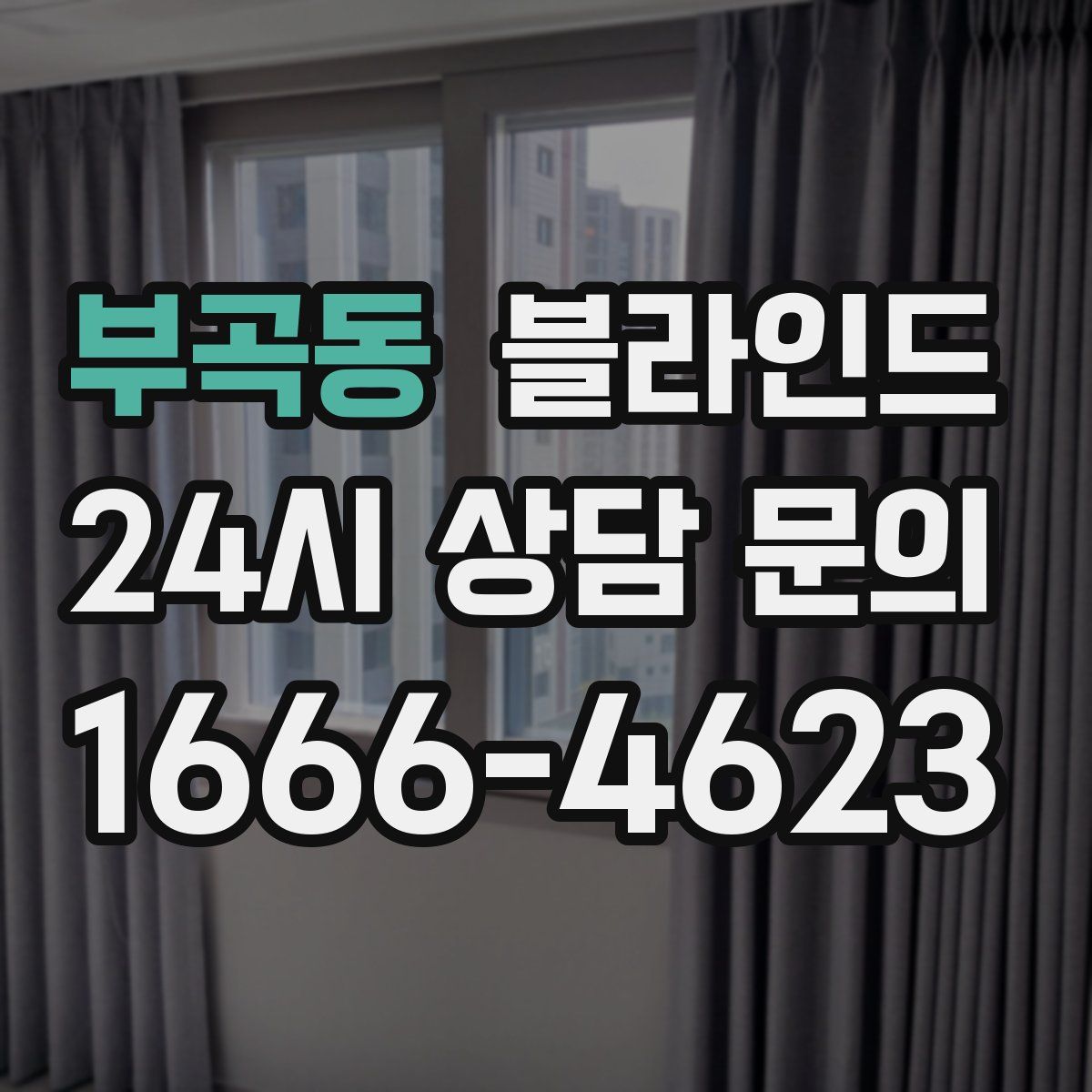 부곡동 블라인드